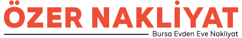 websiteadi.com